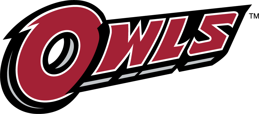 Temple Owls 2014-2020 Wordmark Logo diy DTF decal sticker